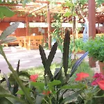 Hotel Alba Family Club Primorsko