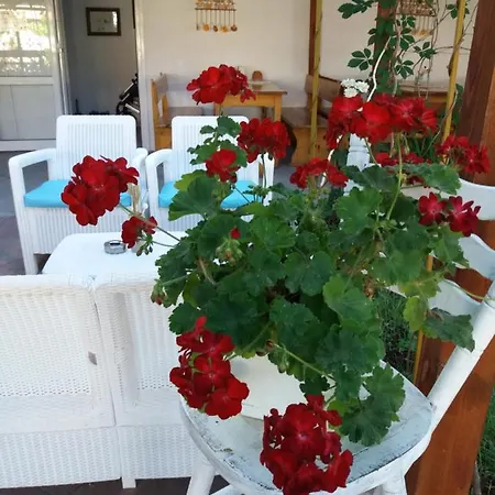 Alba Family Club Otel