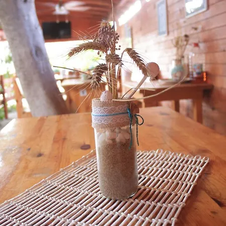 Alba Family Club Hotel