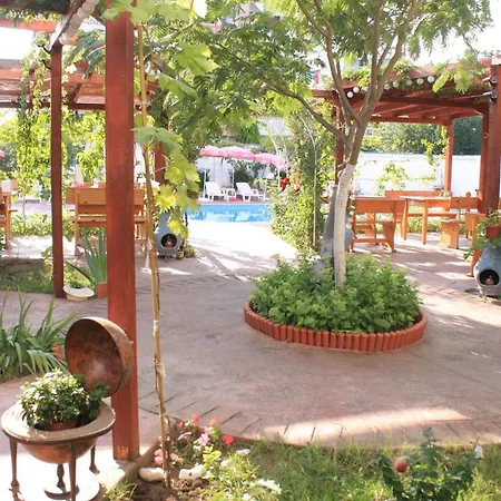 Hotel Alba Family Club 2*