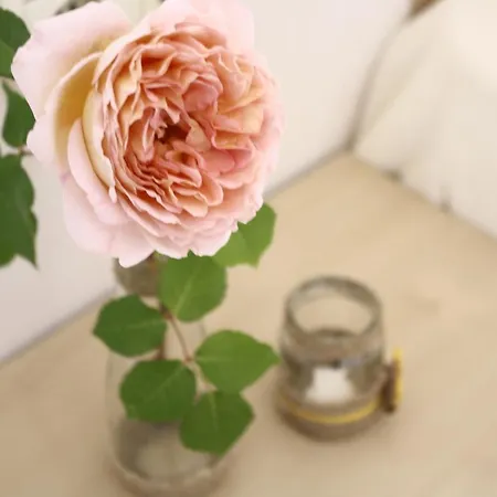 Alba Family Club Primorsko