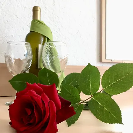 Alba Family Club Primorsko