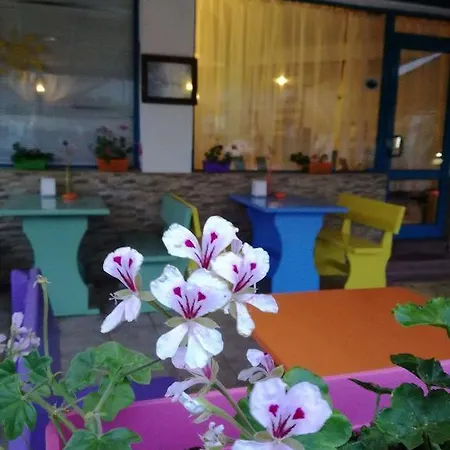 Alba Family Club Hotel