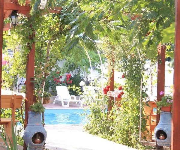 Alba Family Club Отель