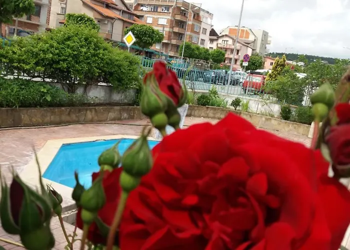 Alba Family Club Отель Приморско