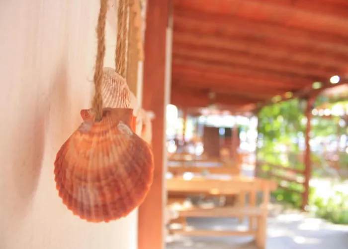 Alba Family Club Приморско