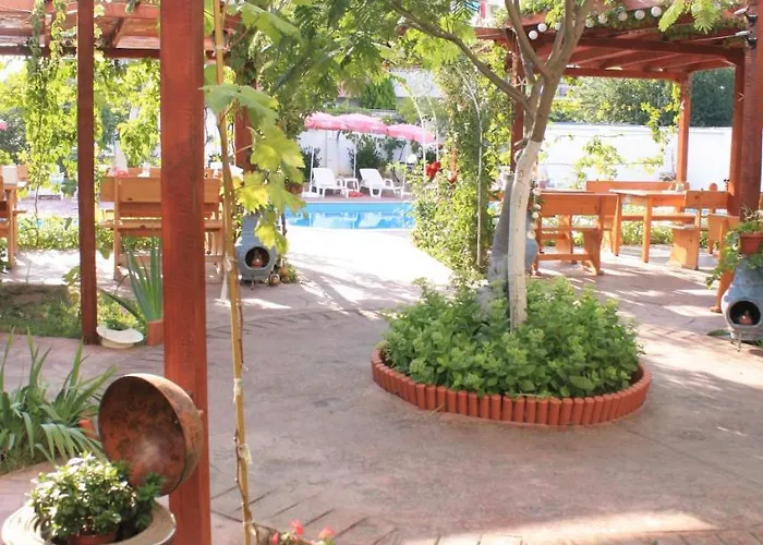 Отель Alba Family Club 2*