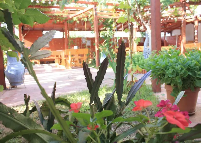 Отель Alba Family Club Приморско