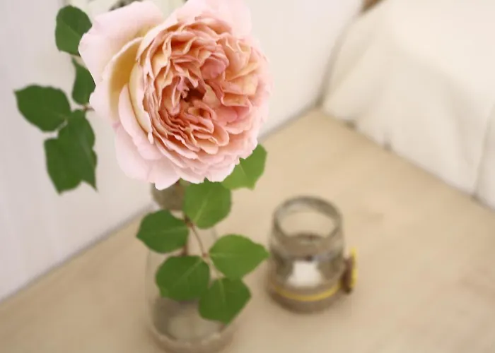 Alba Family Club Приморско