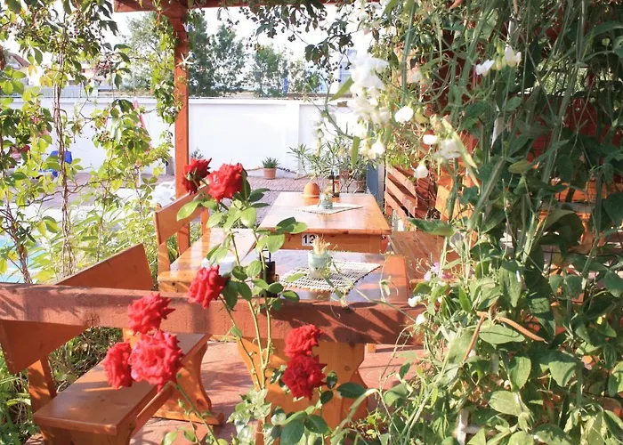 Alba Family Club 2* Приморско