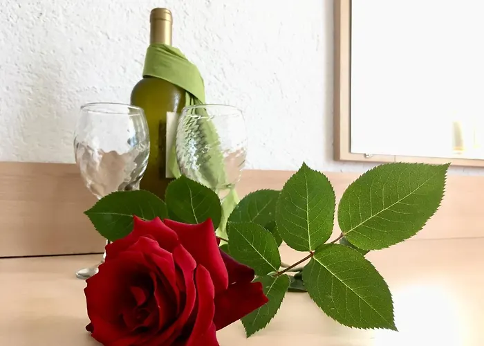 Alba Family Club Приморско